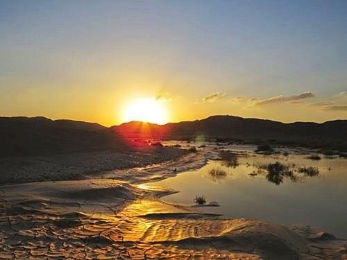 דרכים במדבר